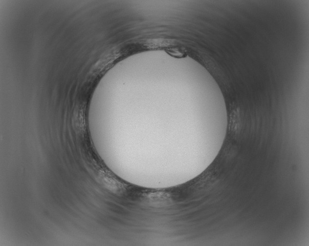 X0000076330426200610201709