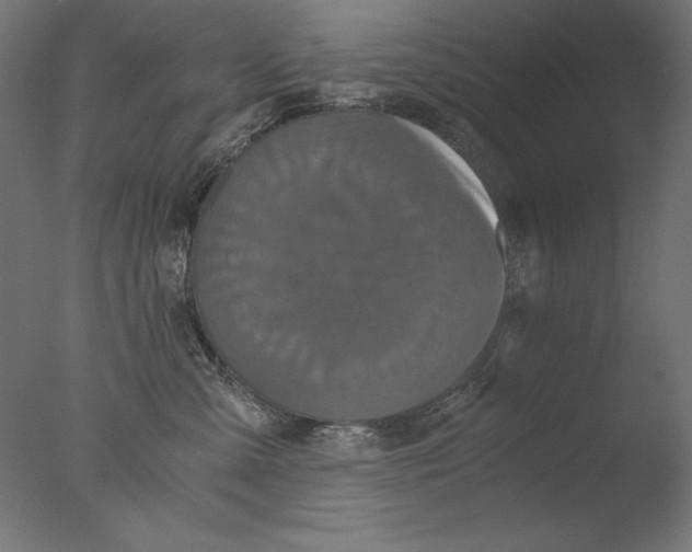 X0000076330427200610201709