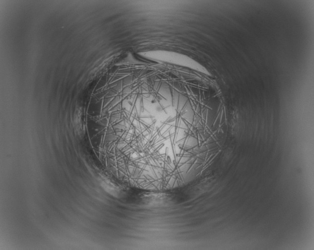 X0000076330428200610201709