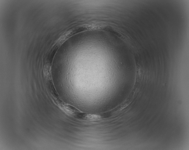 X0000076330429200610201709