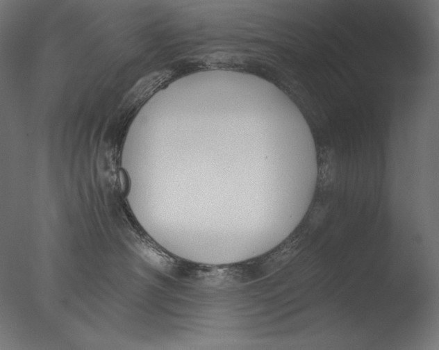 X0000076330430200610201709