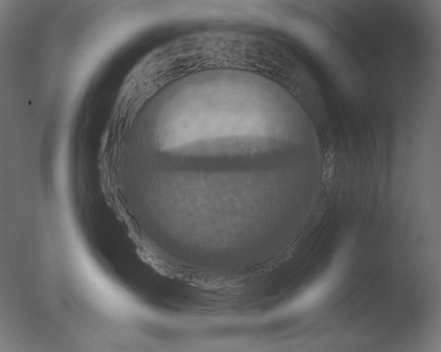 X0000076330431200610201709