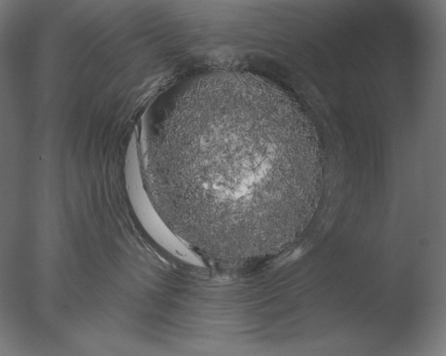 X0000076330432200610201709