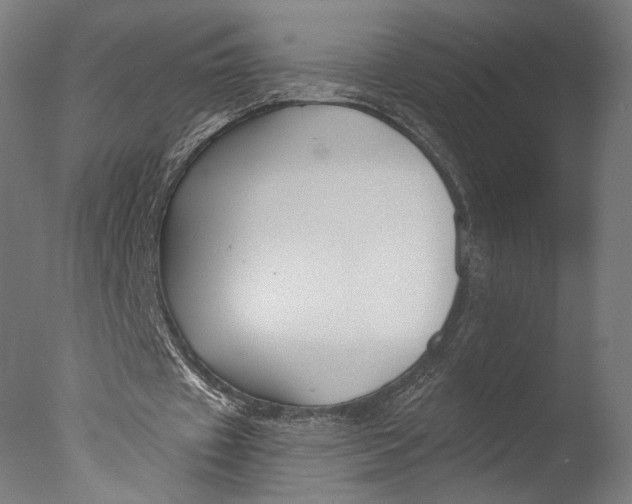 X0000076330433200610201709