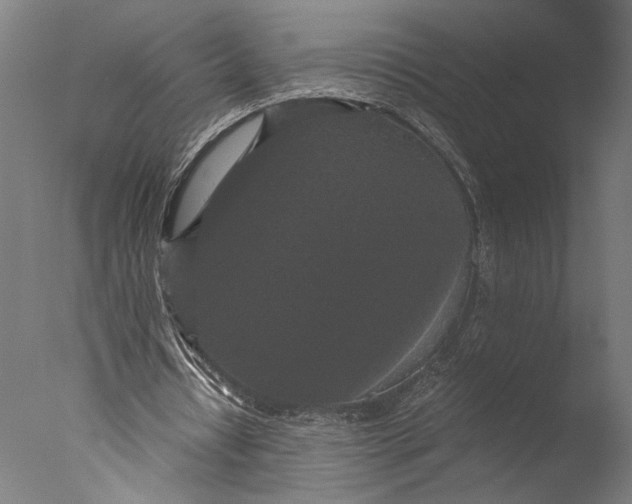 X0000076330434200610201709