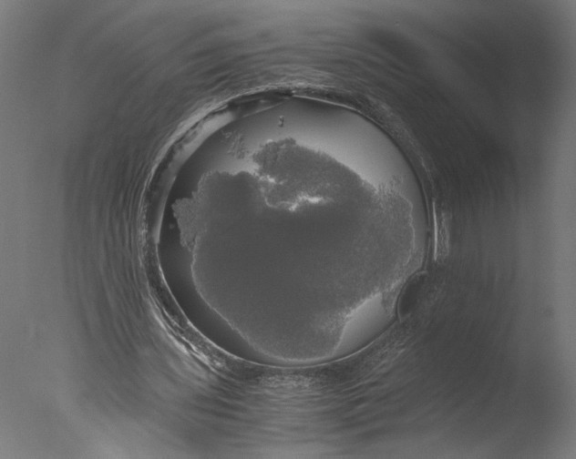 X0000076330435200610201709