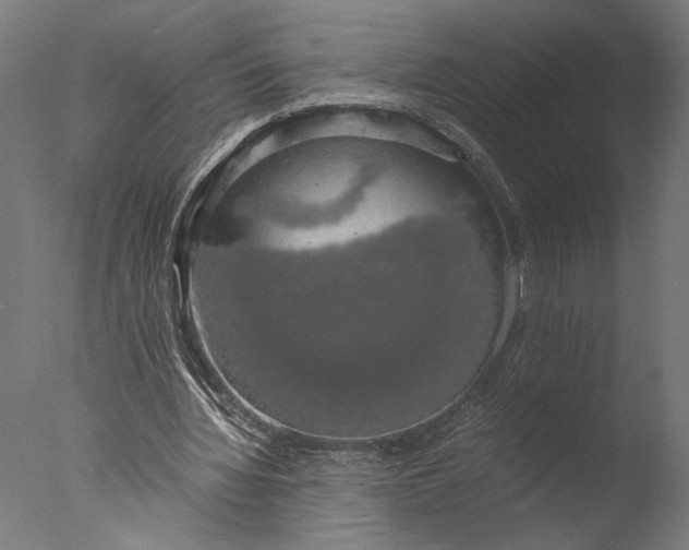 X0000076330436200610201709