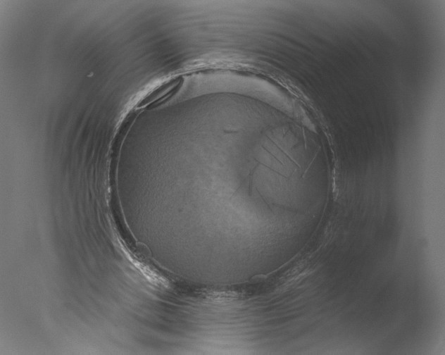 X0000076330438200610201709