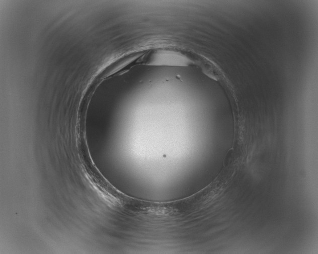 X0000076330439200610201709