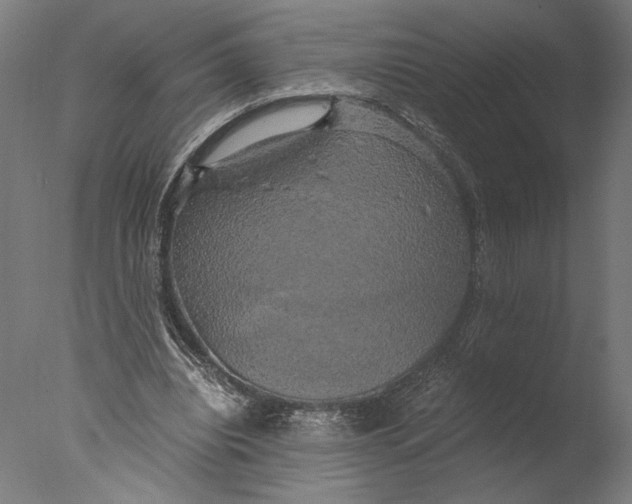 X0000076330440200610201709