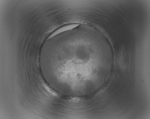 X0000076330441200610201709