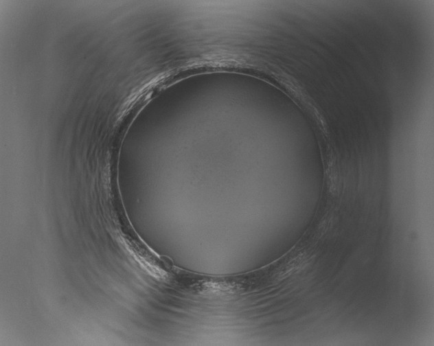 X0000076330442200610201709