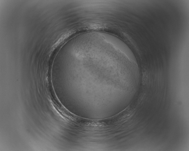 X0000076330443200610201709