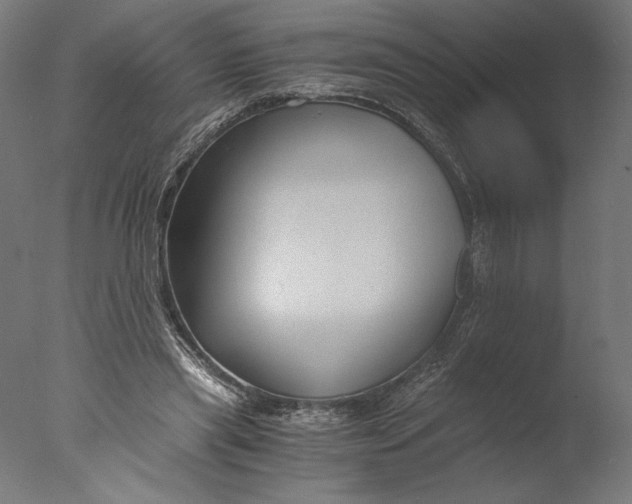 X0000076330445200610201709