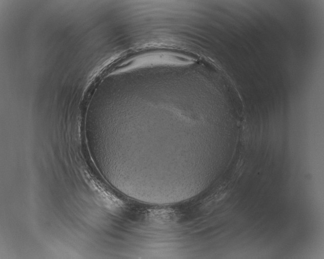 X0000076330446200610201709