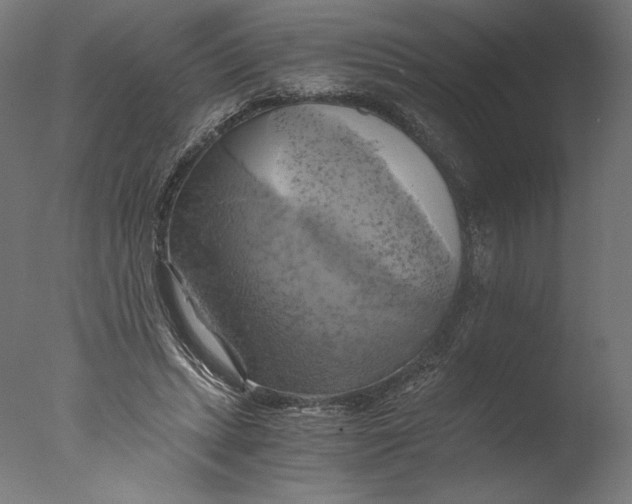 X0000076330447200610201709