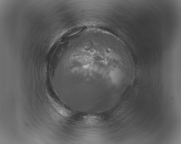 X0000076330448200610201709