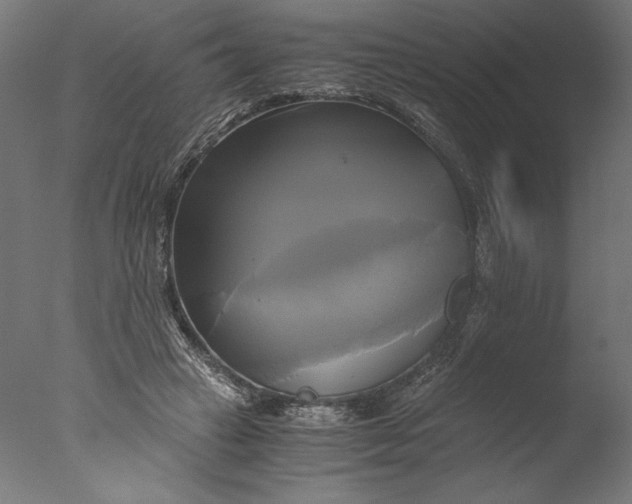 X0000076330449200610201709