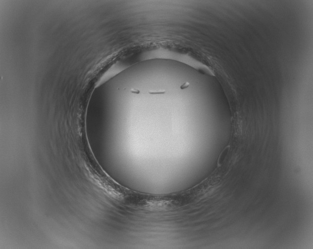 X0000076330450200610201709