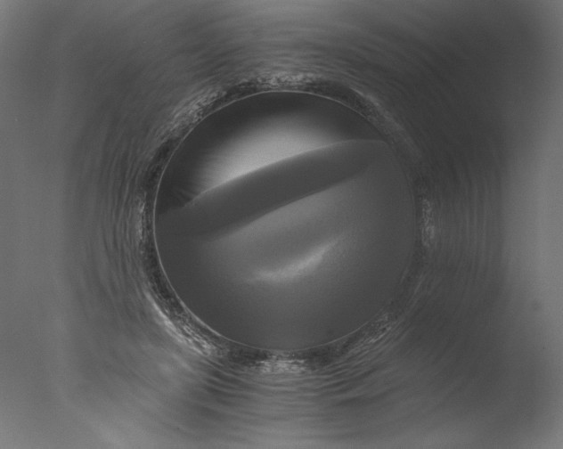 X0000076330451200610201709