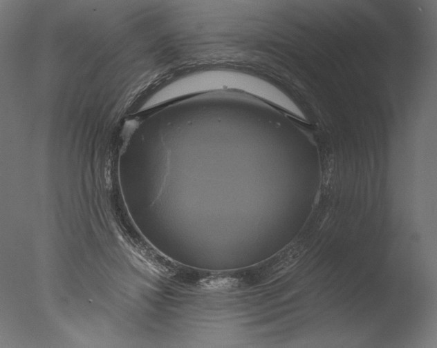 X0000076330452200610201709