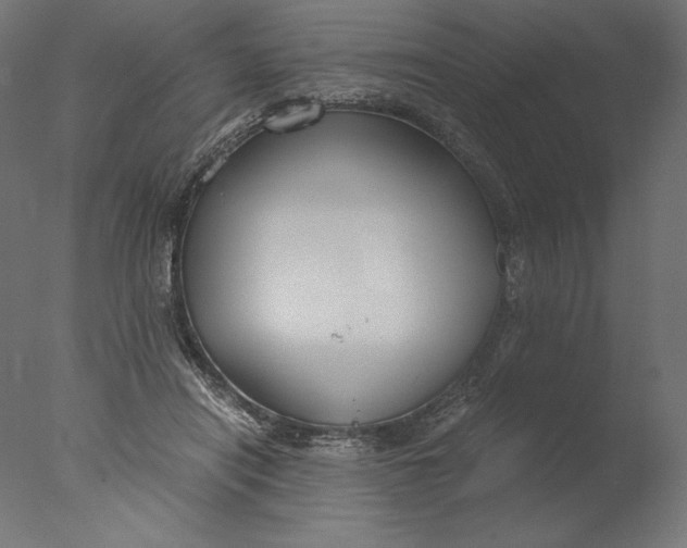 X0000076330454200610201709