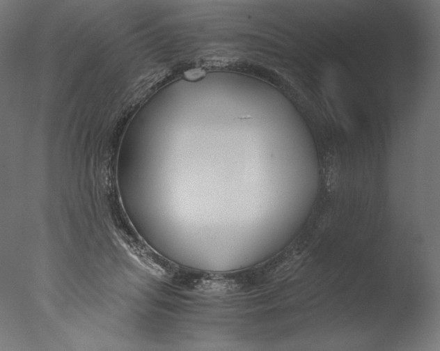 X0000076330455200610201709