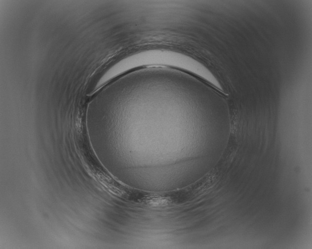 X0000076330456200610201709