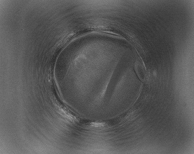 X0000076330457200610201709