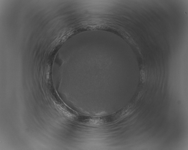 X0000076330458200610201709