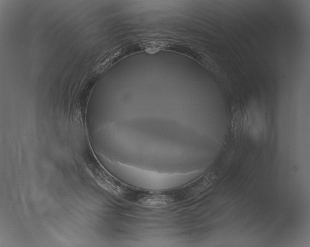 X0000076330459200610201709