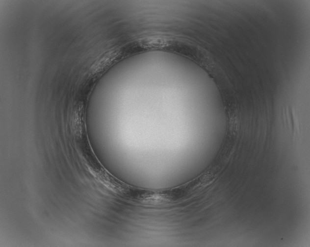 X0000076330460200610201709