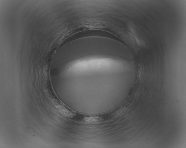 X0000076330461200610201709