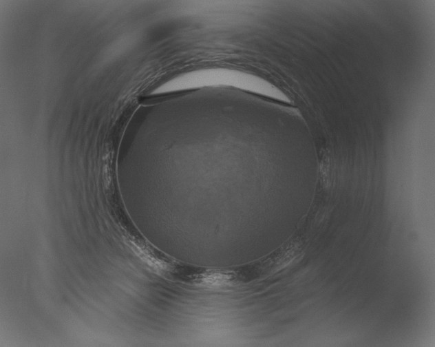 X0000076330462200610201709