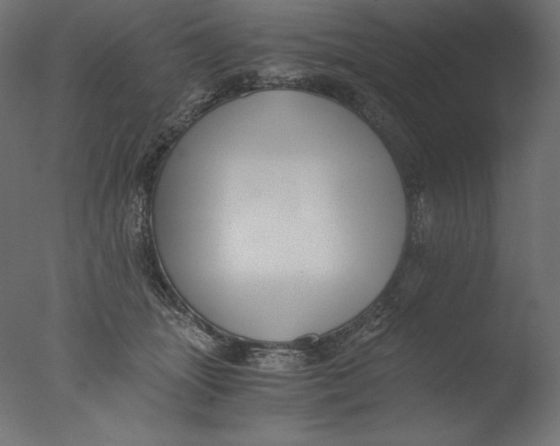 X0000076330463200610201709