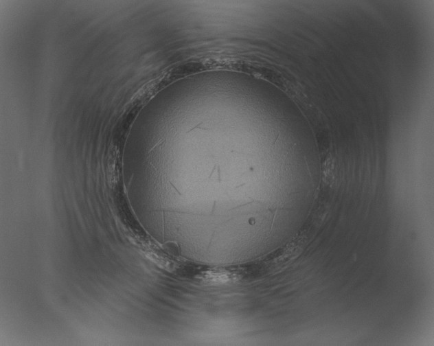 X0000076330464200610201709