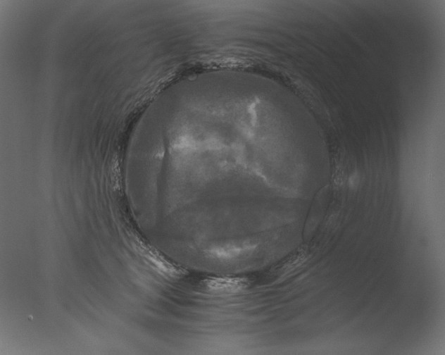 X0000076330465200610201709