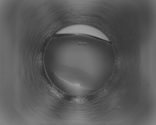 X0000076330466200610201709