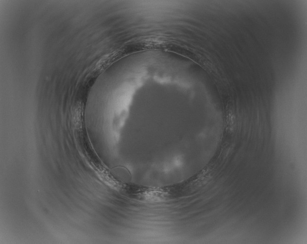 X0000076330468200610201709