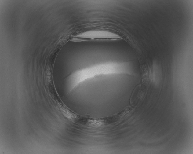 X0000076330469200610201709