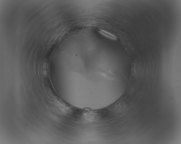 X0000076330470200610201709