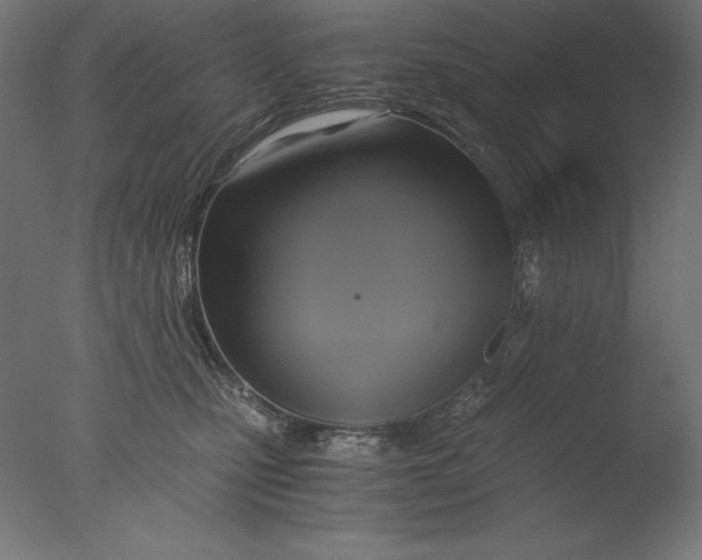 X0000076330471200610201709