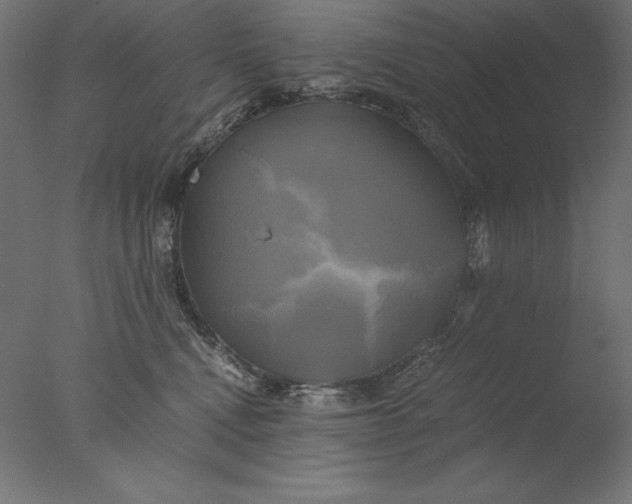 X0000076330472200610201709