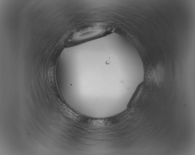 X0000076330473200610201709