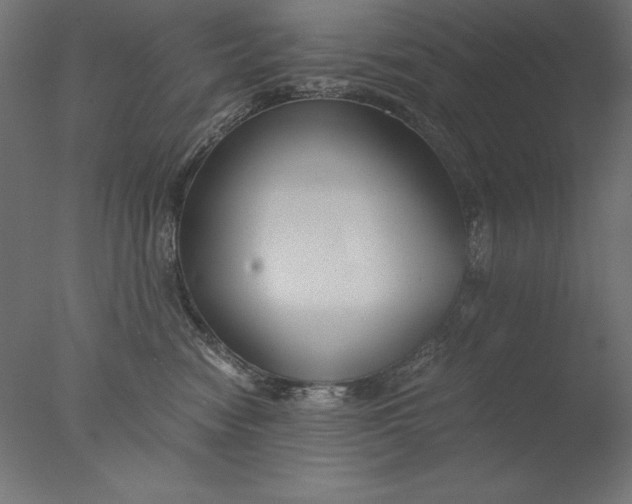 X0000076330474200610201709