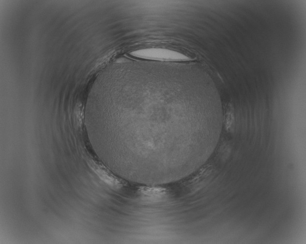 X0000076330476200610201709