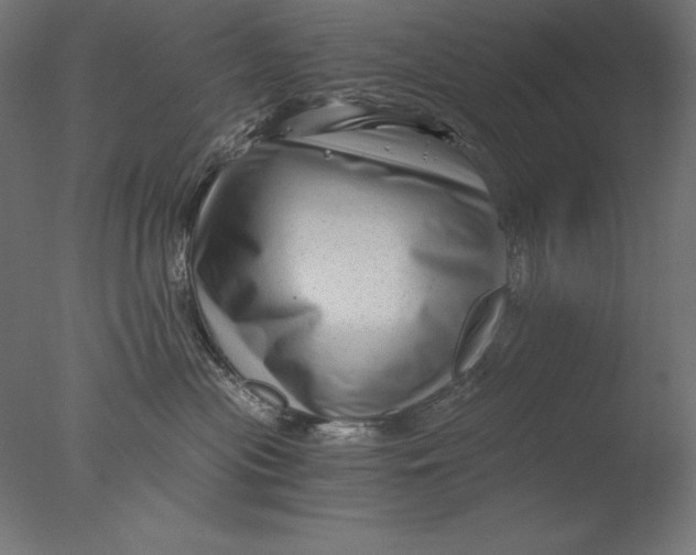 X0000076330477200610201709