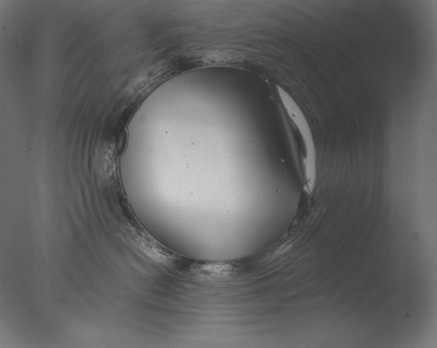 X0000076330478200610201709