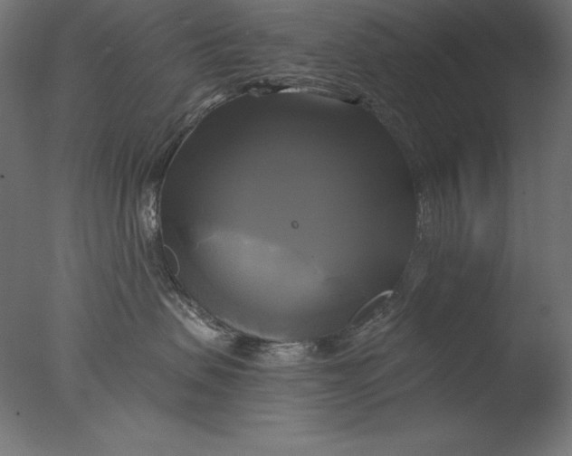 X0000076330479200610201709