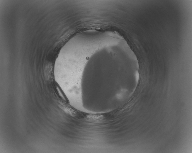 X0000076330480200610201709